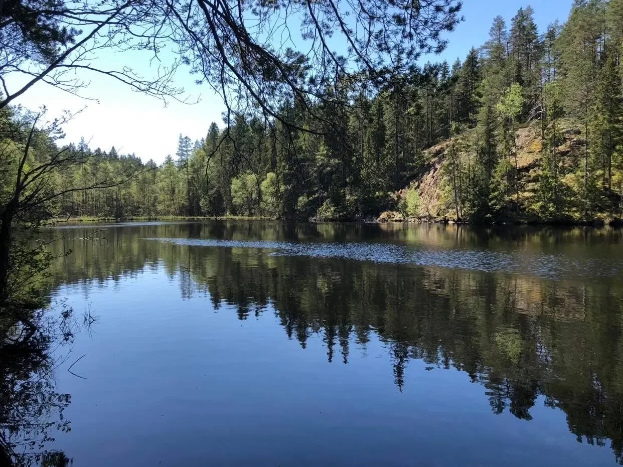 En av Dovrasjödalens smala sjöar med skog och berg vid stranden