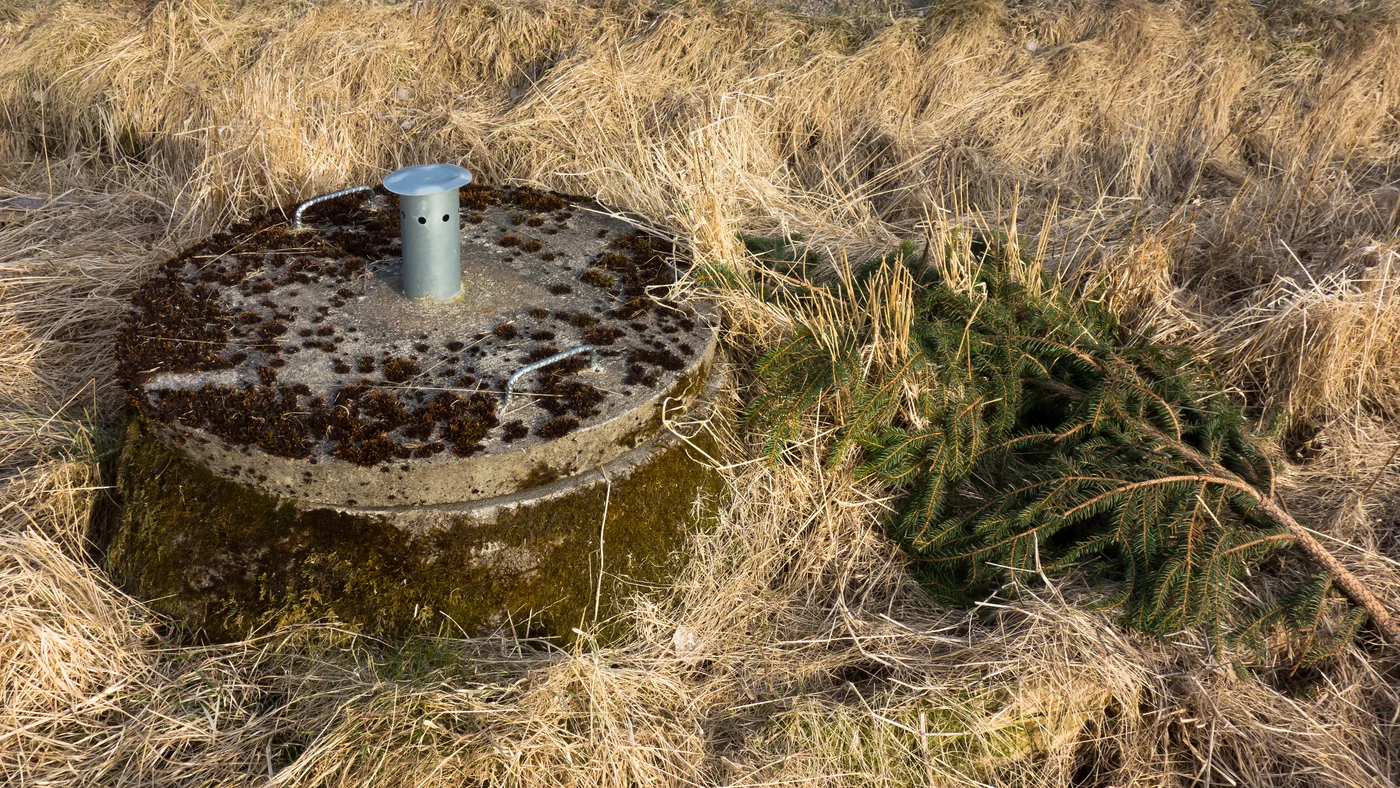 Lock till en avloppsbrunn i gräs intill en väg, allmänt motiv