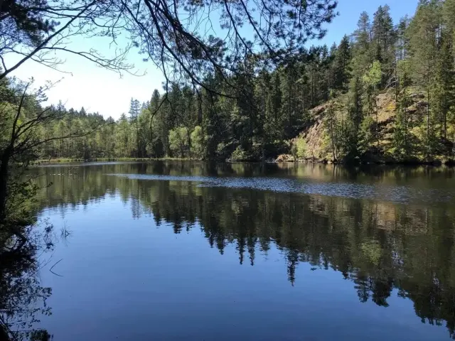 En av Dovrasjödalens smala sjöar med skog och berg vid stranden
