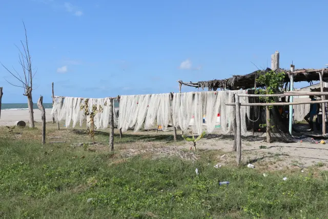 Fiskenät upphängda vid en strand i La Boquilla, Colombia – illustration av fiskeredskap