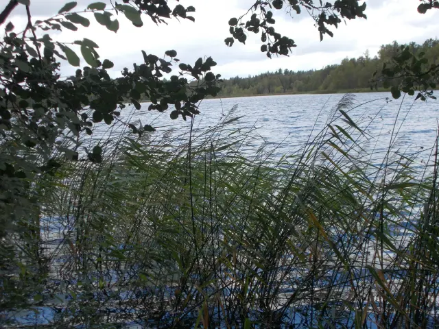 Löcknasjön vid Rönneshytta